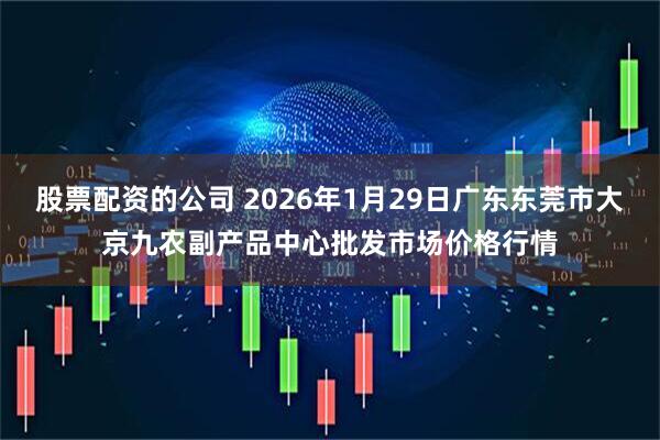 股票配资的公司 2026年1月29日广东东莞市大京九农副产品中心批发市场价格行情