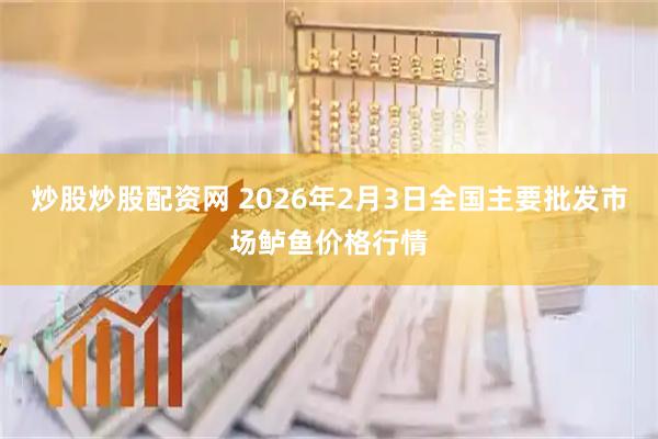 炒股炒股配资网 2026年2月3日全国主要批发市场鲈鱼价格行情