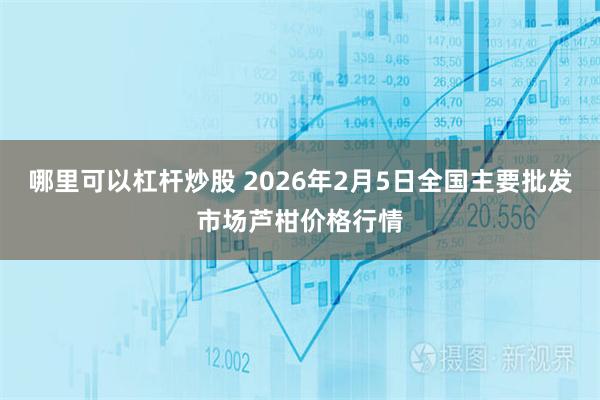 哪里可以杠杆炒股 2026年2月5日全国主要批发市场芦柑价格行情