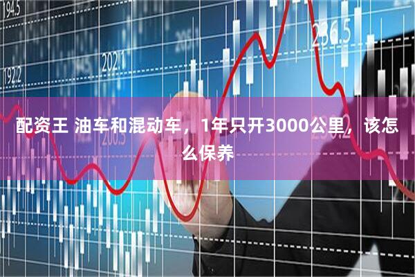 配资王 油车和混动车，1年只开3000公里，该怎么保养